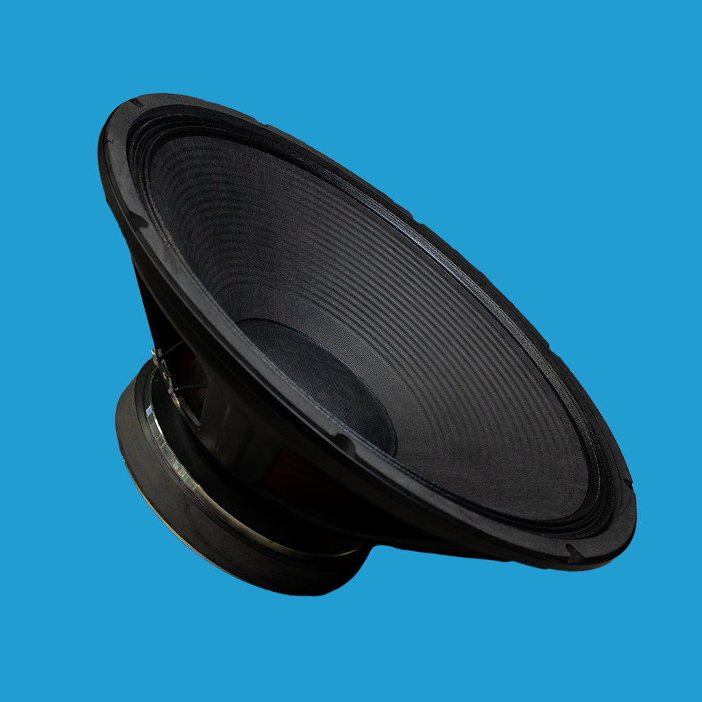 BishopSound 18-inch LF Sub Bass Woofer Loudspeaker Driver 1600w Program Power 8 ohm Speaker BSP18