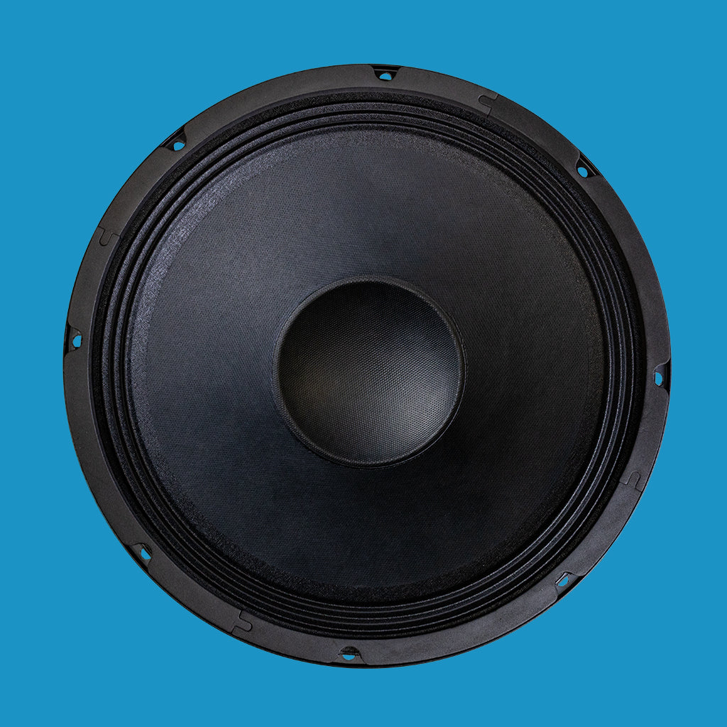 BishopSound 12-inch Bass / Mid Range Loudspeaker Driver 600w Program Power 8 ohm Speaker BSP12