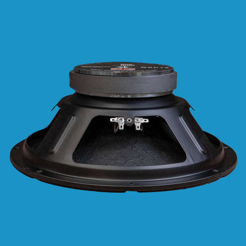 BishopSound 12-inch Bass / Mid Range Loudspeaker Driver 600w Program Power 8 ohm Speaker BSP12