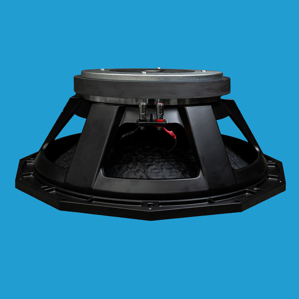 BishopSound 18-inch LF Sub Bass Driver Woofer Loudspeaker 3000w Program Power 8 ohm Speaker BWP18/8