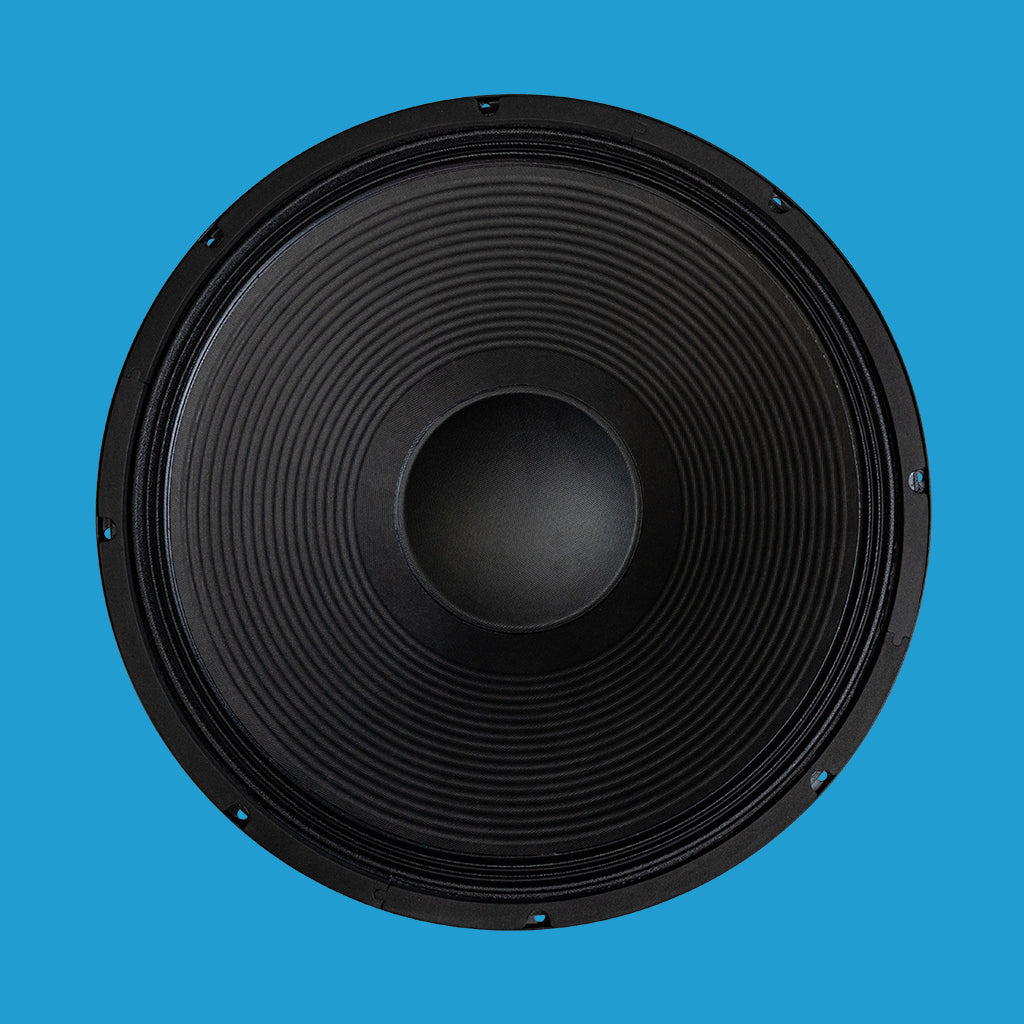 BishopSound 18-inch LF Sub Bass Woofer Loudspeaker Driver 1600w Program Power 8 ohm Speaker BSP18