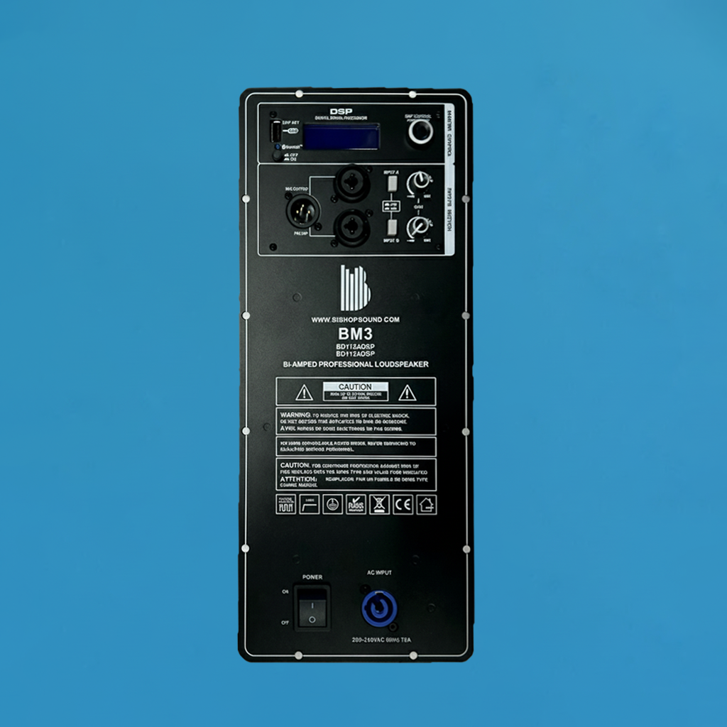 BM3 2 Way DSP Bluetooth Plate Amp