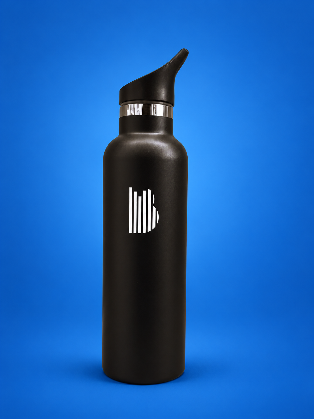 BishopSound 750ml Insulated Stainless Steel Water Bottle