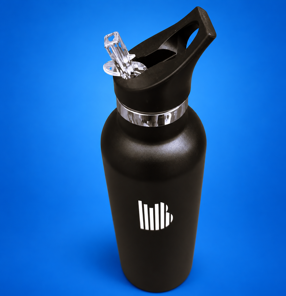 BishopSound 750ml Insulated Stainless Steel Water Bottle